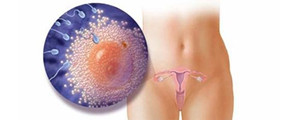 卵泡长不大还能怀孕吗？郑州天伦“破卵术”，助你怀孕！