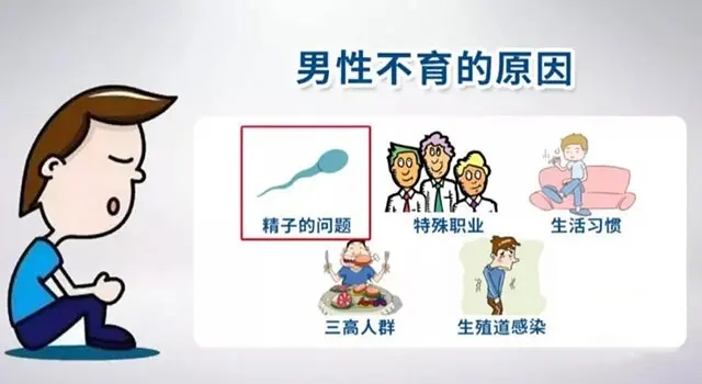郑州不孕不育医院性价比哪家好?导致男性不育的原因有哪些?