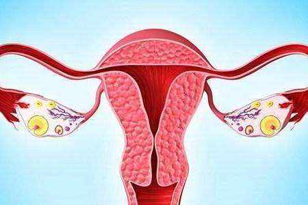 导致女性卵巢早衰的原因是什么?